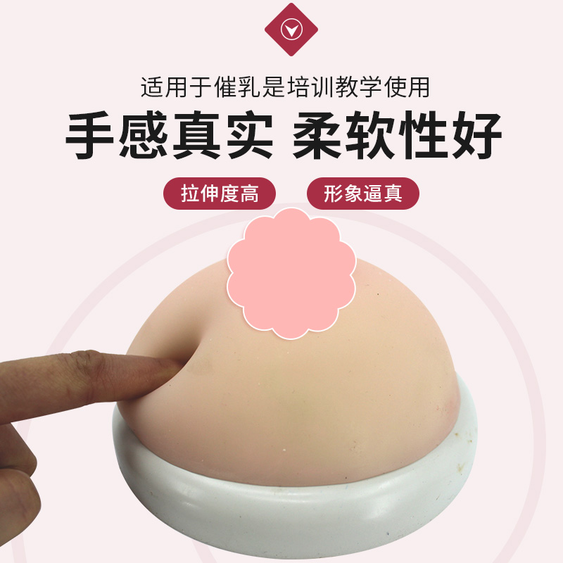 高级医学仿真女性乳房义乳假乳催乳师培训教具哺乳教学纯硅胶模型 - 图0