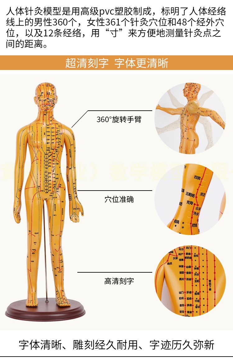 针灸穴位人体模型全身家用中医十二经络图小皮人硅胶扎针练习铜人 黄河实业医学教学模型 淘优券