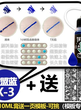 网红ins防水持久果汁海娜纹身