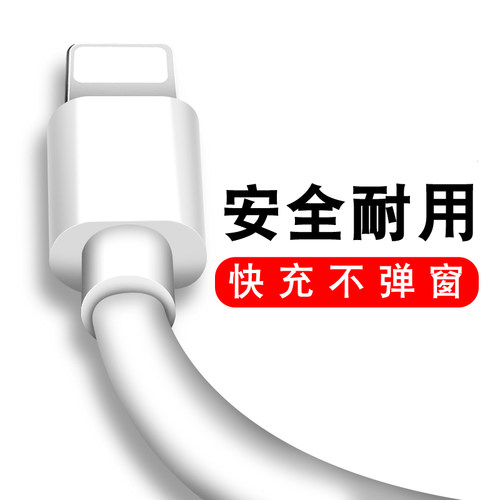 适用苹果iPad数据线Air/mini/2/3/4/5/6/Pro平板电脑iPhone7手机8快充xs充电器11/12正品xr充电线13pro充电头 - 图0