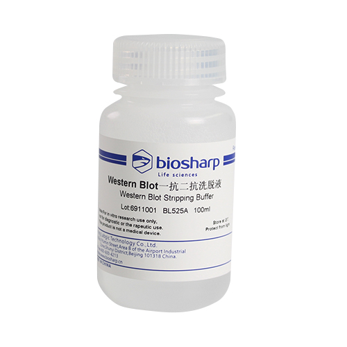 白鲨biosharp BL525A Western Blot一抗二抗洗脱液 100ml 4℃保存 - 图0