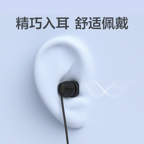 Sony/索尼 IER-EX15C 入耳式有线耳机Type-C接口手机线控通话带麦 - 图2