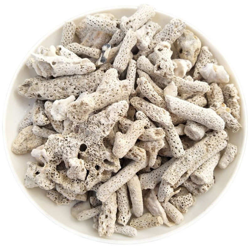 天然珊瑚骨过滤材料水族水产滤箱海鲜池鱼塘培菌专用珊瑚砂调节PH,淘宝优惠券,粉丝福利购,淘宝优惠卷