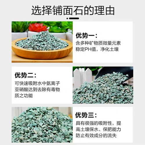 绿沸石颗粒天然土种花卉多肉配土铺面石园艺介质吸氨水族造景净化 - 图0