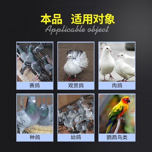 西农之光鸽药茶多酚全矿素10kg信赛鸽用品助消化保健砂鸽子药大全 - 图1