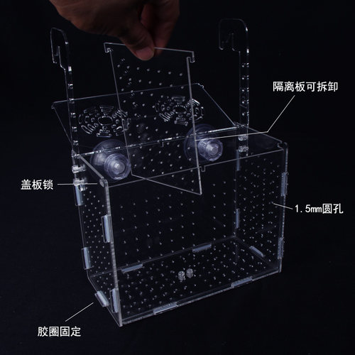 亚克力鱼缸隔离盒箱透明水族用品鱼苗孵化盒大小号吸盘单双格带盖 - 图1