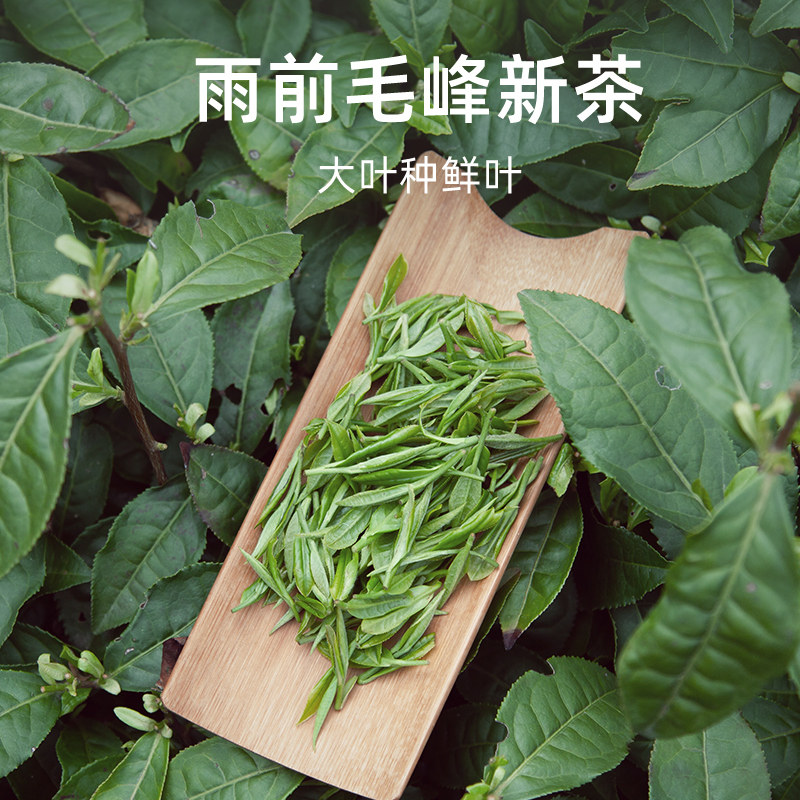2025新茶叶正宗黄山毛峰雨前绿茶250g罐装礼盒装毛峰口粮茶,淘宝优惠券,粉丝福利购,淘宝优惠卷