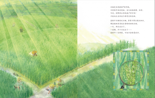一粒种子改变世界袁隆平的故事杂交水稻之父袁隆平传记精装绘本科学家绘本名人传记儿童故事书一二年级中小学生课外阅读广东讲书人 - 图2