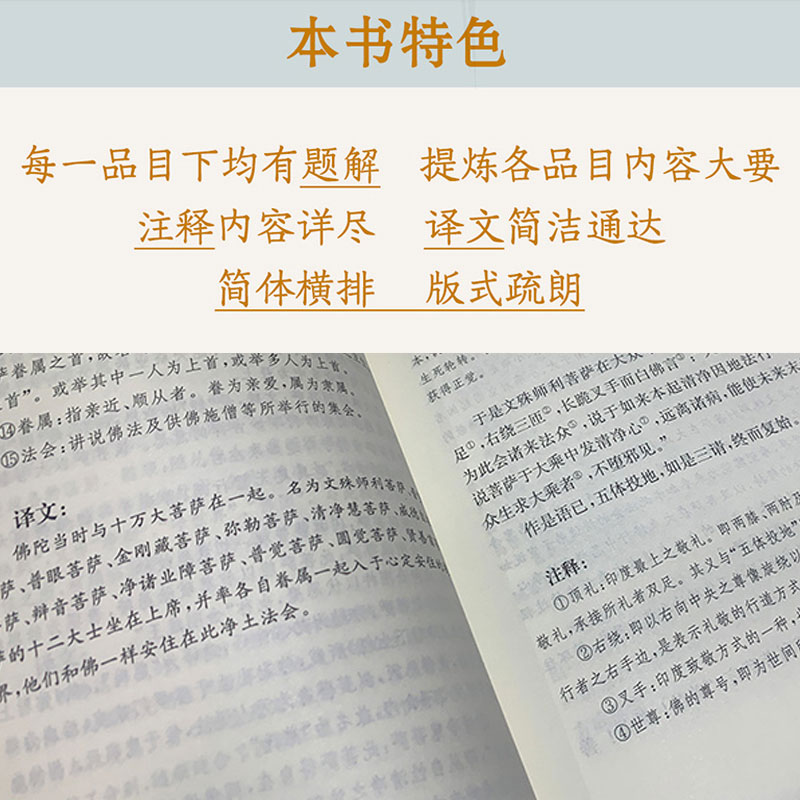 2册 六祖坛经原版原文注释白话文译文中华书局出版+大字注音拼音诵读本 六祖慧能著  国学经典佛教经书念经念诵集佛学入门书籍 - 图3