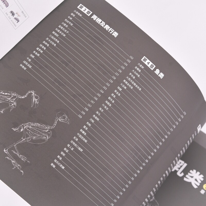 动物结构图鉴 动物百科科普书科普绘本画集画册 动物结构哺乳动物昆虫飞禽走兽科普图册