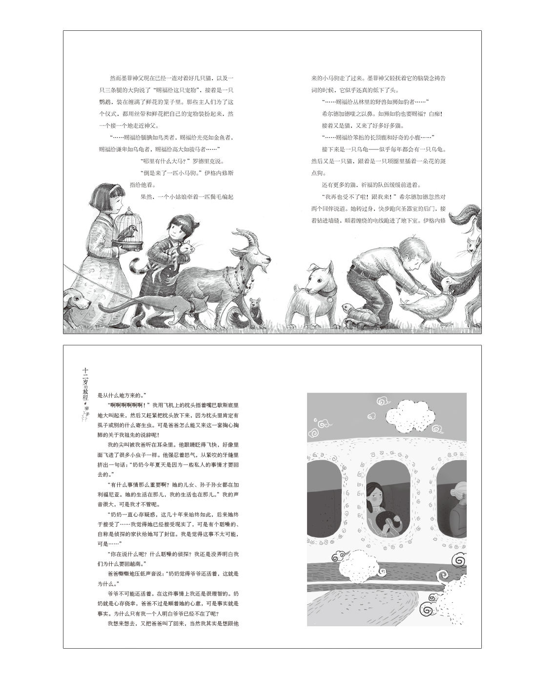 长青藤国 际大奖小说全套6册8-12岁三四五六年级小学生课外阅读书籍儿童文学9-12岁那年深夏十二岁的旅程想赢的男孩正版包邮 - 图2