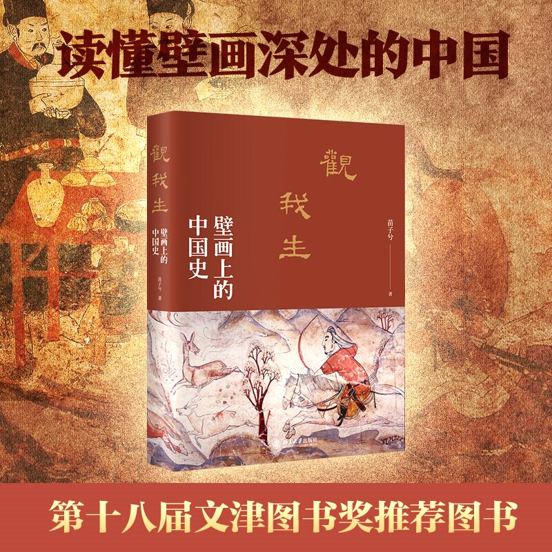 观我生 壁画上的中国史 苗子兮著 探寻壁画背后的隐秘世界 读懂壁画深处的中国历史正版书籍