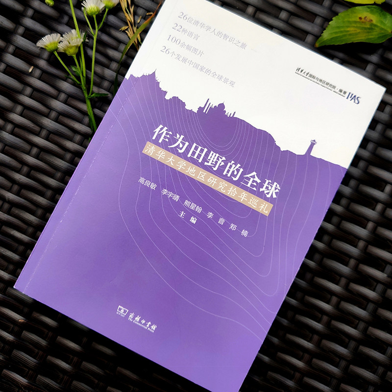 作为田野的全球——清华大学地区研究拾年巡礼