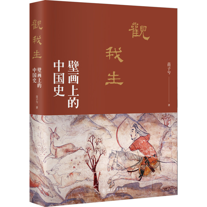 观我生 壁画上的中国史 苗子兮著 探寻壁画背后的隐秘世界 读懂壁画深处的中国历史正版书籍
