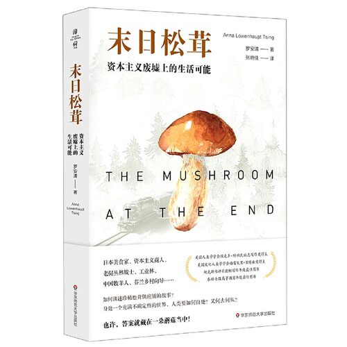末日松茸 资本主义废墟上的生活可能 日本 罗安清著 薄荷实验 人类学社会学经济学 人类学研究的新路径 文化研究 书籍畅销书正版 - 图3