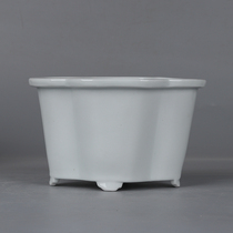 Retro style Anemone White Tire Sea Beginner-shaped flower pot Microbonsai Multi-meat Wenzhu Jingdezhen Ceramic Flower Pot