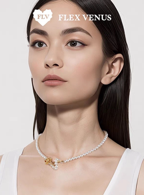 【新品】FLV花野项链 她的房间系列 小众设计高级感时尚锁骨链