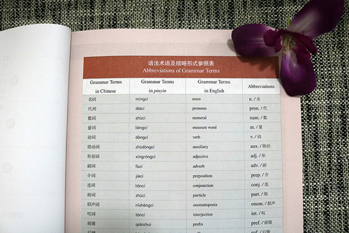 赠PDF版答案/正版/发展汉语高级口语2(第二版 附音频)/Developing Chinese Advanced Speaking CourseⅡ/对外汉语长期进修教材 - 图2