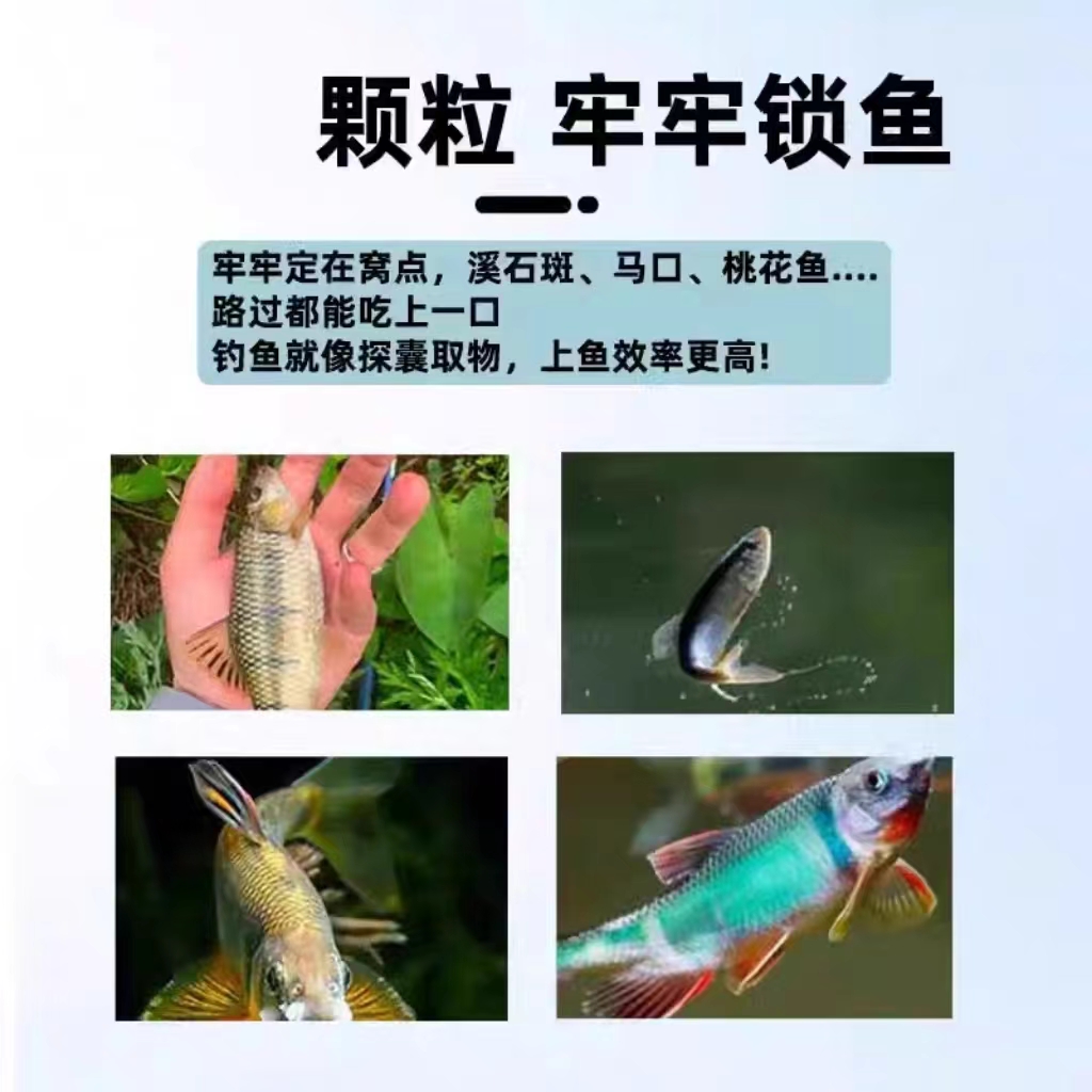 浪迹江湖溪流钓窝料三角打窝颗粒钓鱼打窝料白条溪石斑鱼食鱼饵料 - 图2