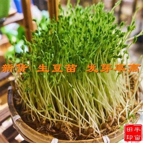 5斤装西北特产甘肃麻豌豆兰州小吃灰豆汤原料灰豆子 高原五谷杂粮 - 图1