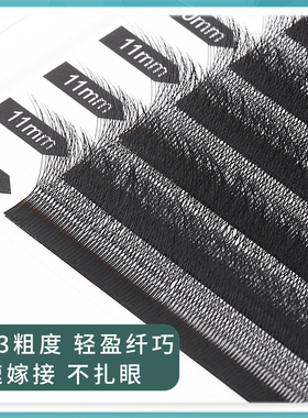 外扩大花四叶草嫁接睫毛