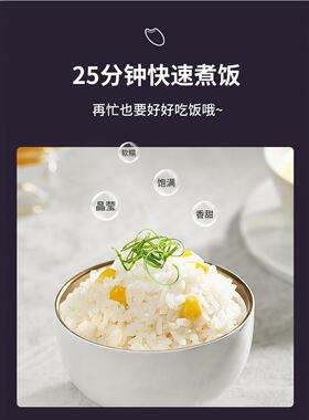 机械式电饭煲家用老式大容量5L升
