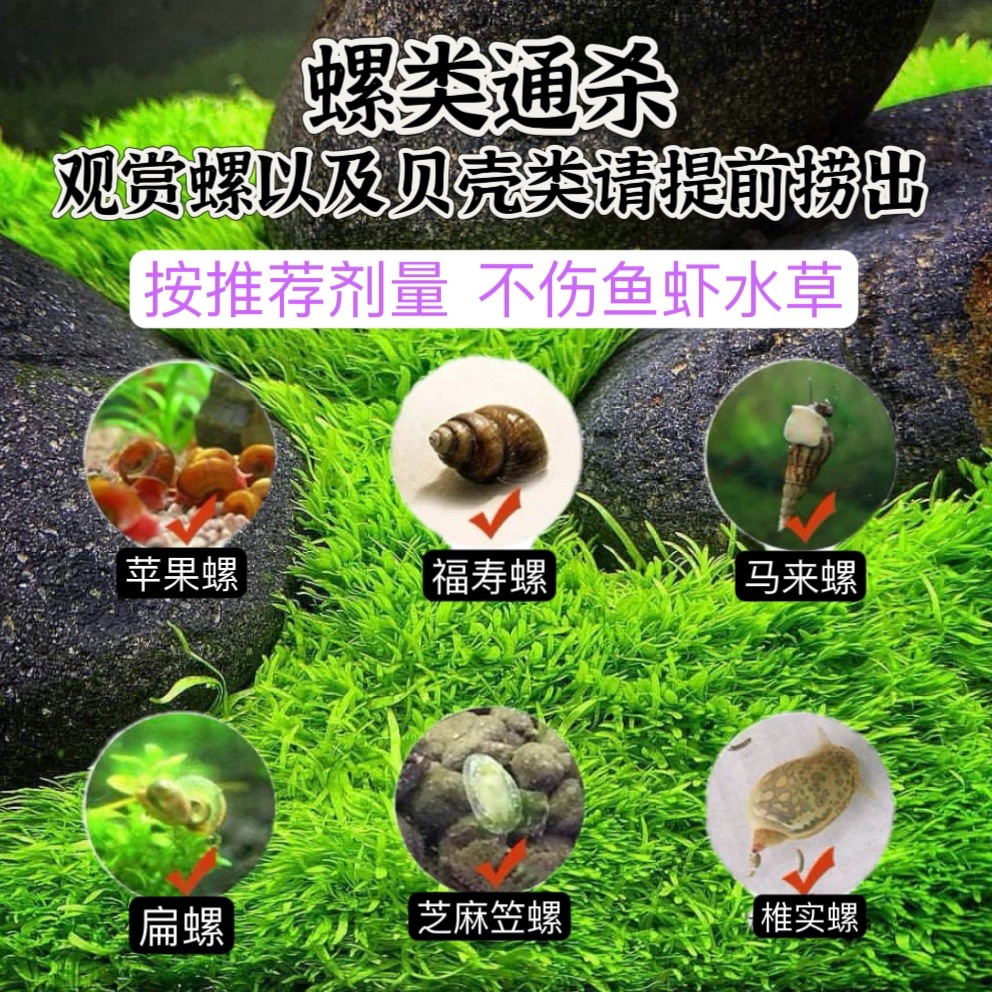 鱼缸除螺剂草缸除螺药水族缸灭螺鱼安灭螺药除涡虫鱼缸除蜗牛药剂 - 图1