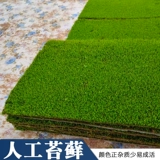 МОСС ПЛАТА МИКРО -Зланд Корт -Корт Бархат Свежий живой Мос Свежая комната Рамка