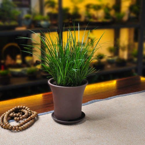 Золотые деньги 金 金 金 金 金 Внутренний завод по медитации в помещении в китайском стиле.