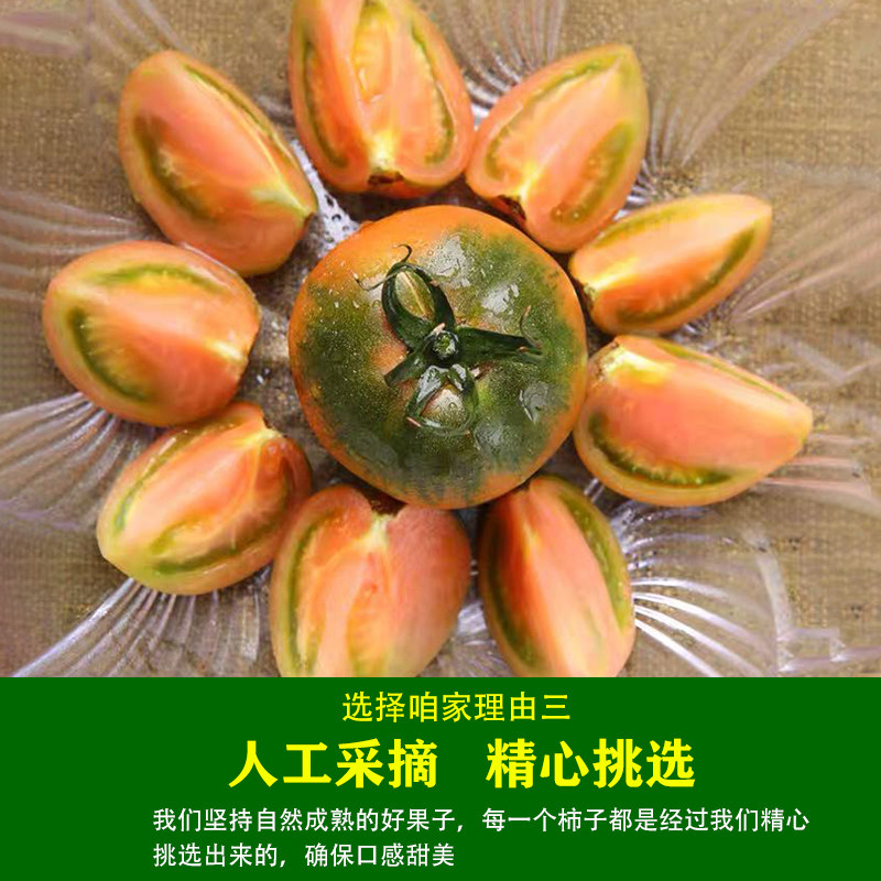丹东草莓柿子番茄铁皮柿子绿腚油柿子碱地西红柿自然熟5斤包邮,淘宝优惠券,粉丝福利购,淘宝优惠卷