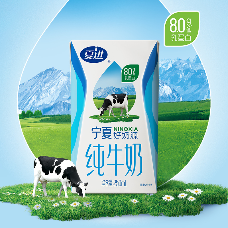 夏进纯牛奶250ml20盒整箱纯奶全脂营养宁夏奶源