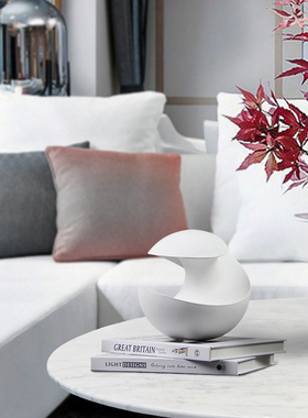 摆设前卫极简风电视柜花艺摆件