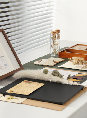 干花植物蝴蝶动物标本书桌摆件