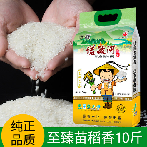 诺敏河至臻苗稻香米真空包装黑土出产河水纯香稻产地包邮新米现磨 - 图1