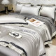Summer light luxury embroidered washed ice silk summer cool quilt set of four high-end double-sided silky air-conditioned quilts machine washable