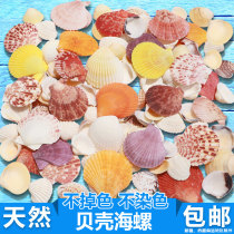 Sea Snail Shells Sea Star Fish Tank Made View Adornment The Crab Children Handmade Diy Wind Bell Drift Bottle Aquarium