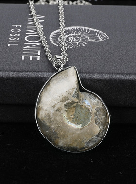 天然斑彩螺化石吊坠包银边项链女