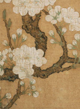 南宋佚名梨花鹦鹉图微喷宣纸画