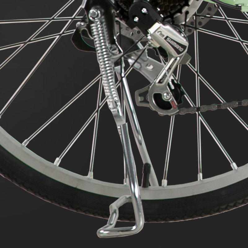 Phoenix LF electric bicycle coffee car male and female student electric bicycle 24/26 inch electric bicycle