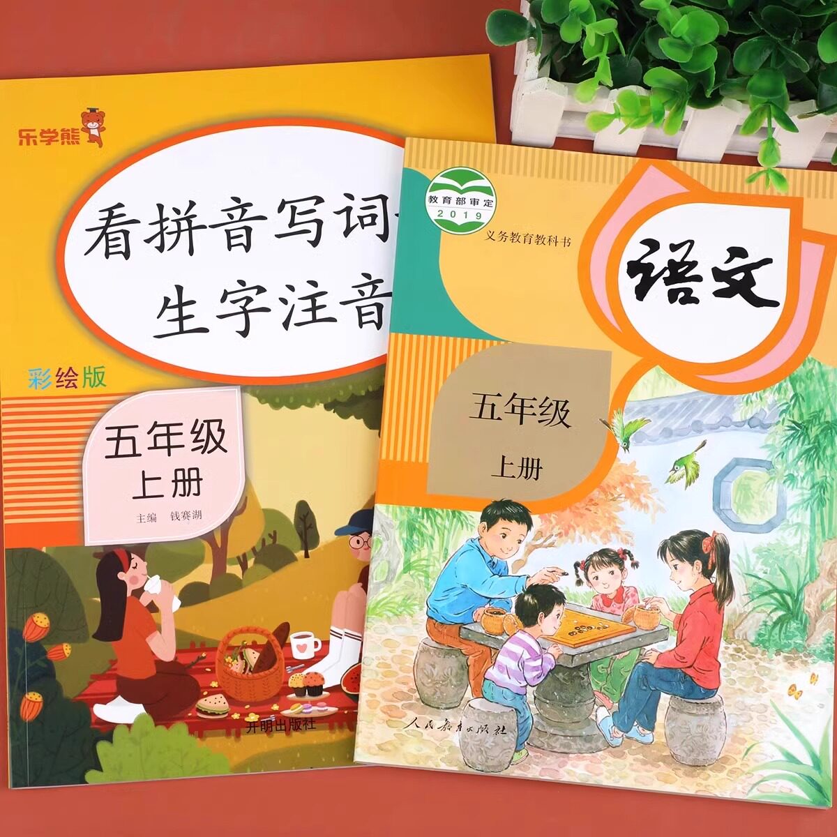 五年级上册看拼音写词语生字注音人教版小学5上组词造句词语积累大全默写能手字词练习拼读默写语文专项训练同步练习题册一课一练
