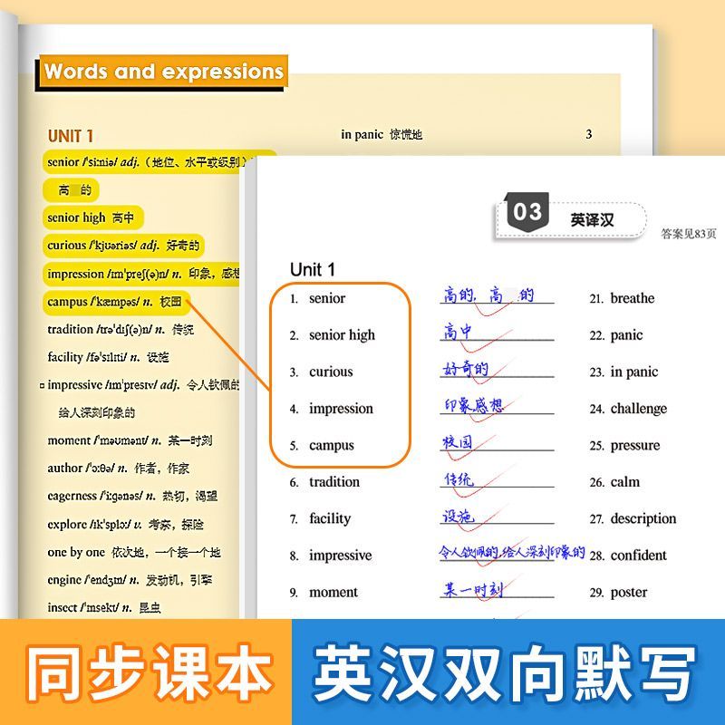 【易蓓】默写100外研版高中英语词汇单词默写本必修选择性必修课本配套练习册专项训练英汉双向默写扫码音频短语听写训练