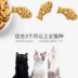 Petstwo Cat Cookies Cat Mint Cat Snacks Cat Molar Bar Cat Grass Cat Snacks 80g * 4 Túi - Đồ ăn nhẹ cho mèo