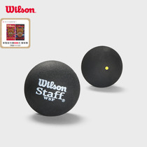 Wilson Wilwin Official STAFF Squash Official Rubber Professional Training Match Wall Ball Accessories Multi-Fit