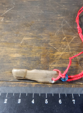 22508号 新疆哈密大南湖地表硅化木吊坠