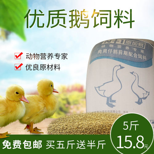 雏鹅小鹅饲料鹅全价颗粒饲料青年鹅大鹅饲料蛋白高鸟粮孔雀粮包邮 - 图1