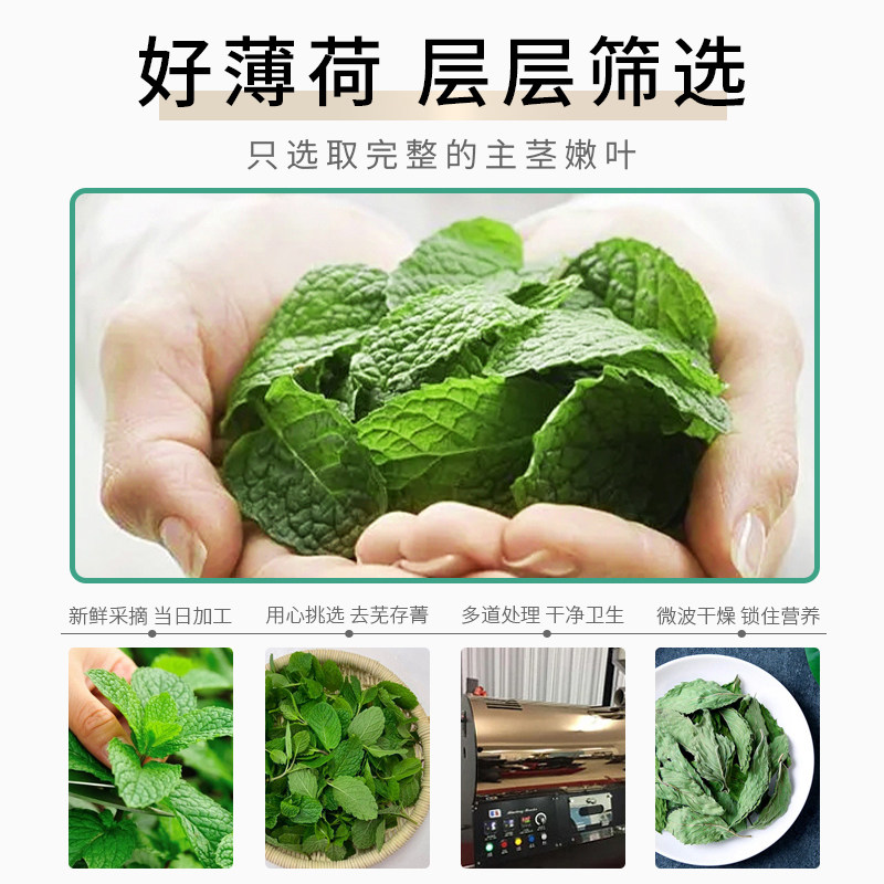 中广德盛薄荷叶茶薄荷柠檬茶薄荷叶新鲜食用薄荷叶干泡茶薄荷水,淘宝优惠券,粉丝福利购,淘宝优惠卷