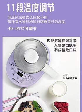 格来德多功能养生壶G118E保温316