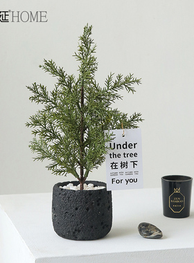 植柏树松树盆栽摆件场景装饰品