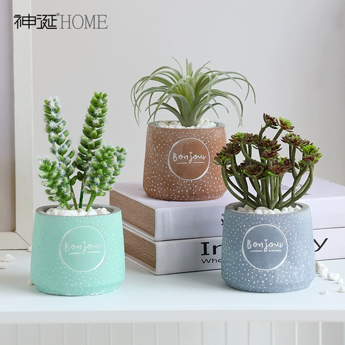 Северная симуляция Полихиграфия пальмот