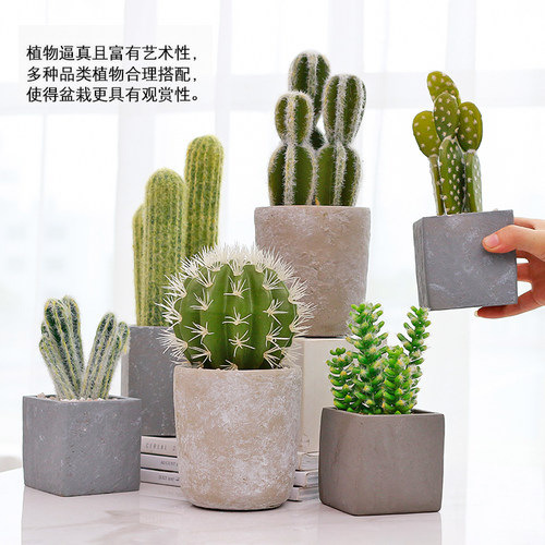 北欧仿真植物装饰绿植室内盆栽客厅摆件假花卉多肉仙人掌盆景摆设 - 图1